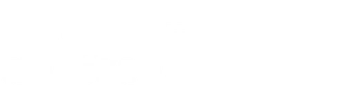 bort